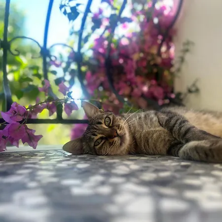 Holiday home A Casa D Irene