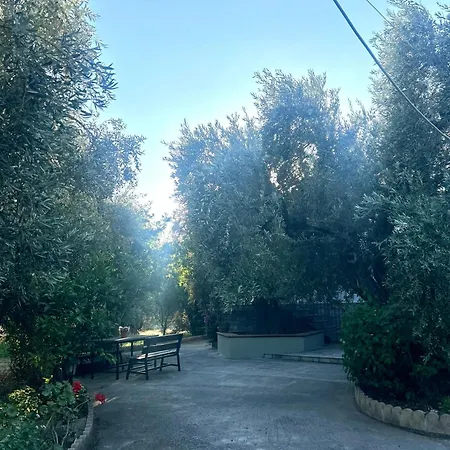 Holiday home A Casa D Irene Koropi