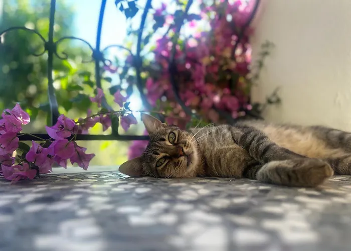 Semesterbostad A Casa D Irene