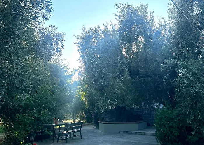 Semesterbostad A Casa D Irene Koropi